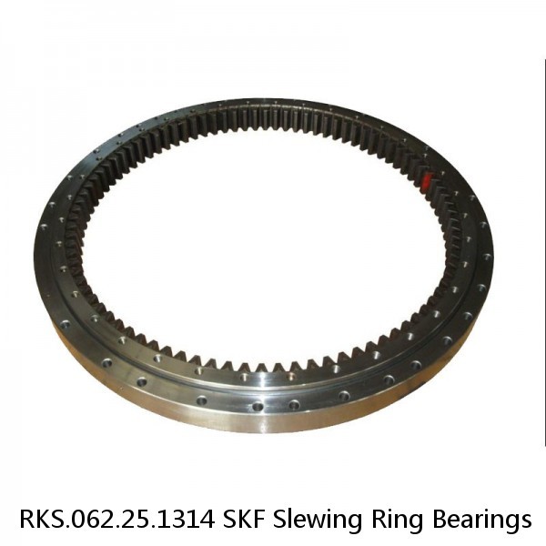 RKS.062.25.1314 SKF Slewing Ring Bearings