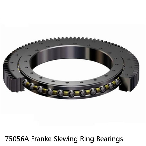 75056A Franke Slewing Ring Bearings