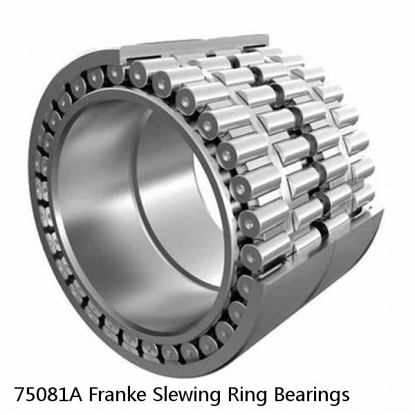 75081A Franke Slewing Ring Bearings