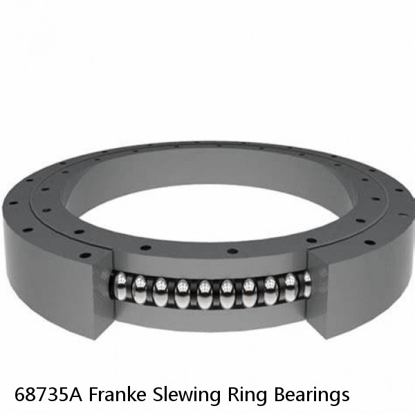 68735A Franke Slewing Ring Bearings