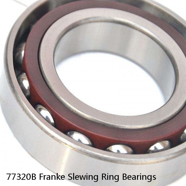 77320B Franke Slewing Ring Bearings