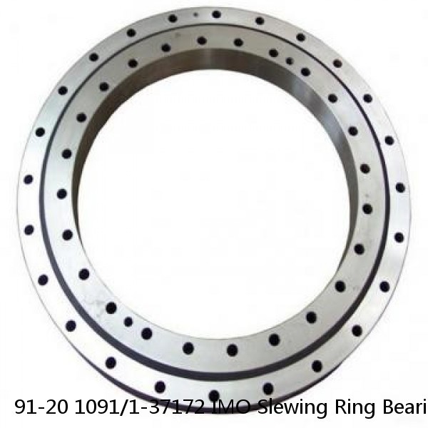 91-20 1091/1-37172 IMO Slewing Ring Bearings