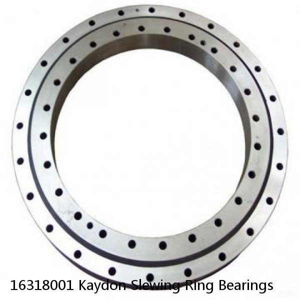 16318001 Kaydon Slewing Ring Bearings