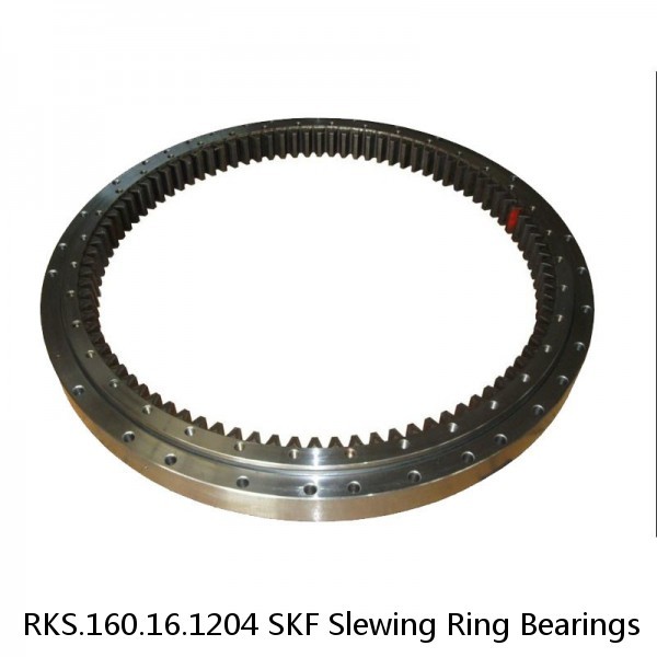 RKS.160.16.1204 SKF Slewing Ring Bearings