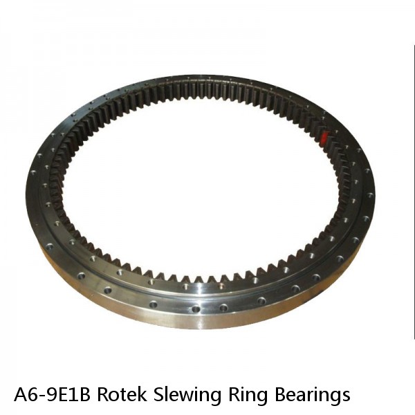 A6-9E1B Rotek Slewing Ring Bearings