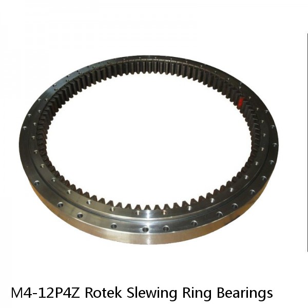 M4-12P4Z Rotek Slewing Ring Bearings