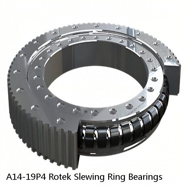 A14-19P4 Rotek Slewing Ring Bearings #1 small image