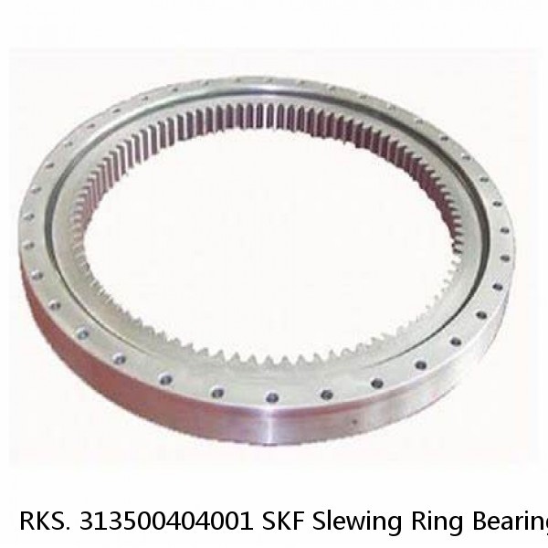 RKS. 313500404001 SKF Slewing Ring Bearings #1 small image