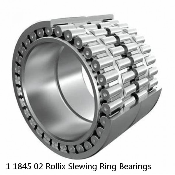 1 1845 02 Rollix Slewing Ring Bearings #1 small image