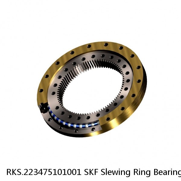 RKS.223475101001 SKF Slewing Ring Bearings #1 small image