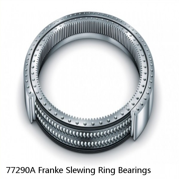 77290A Franke Slewing Ring Bearings