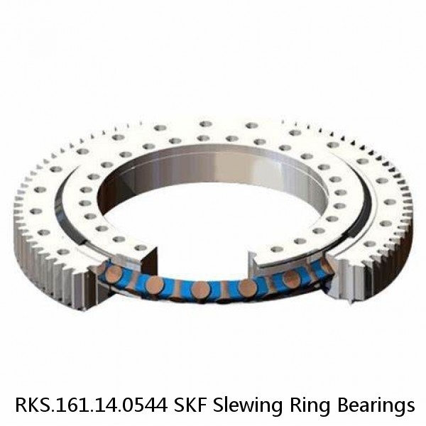 RKS.161.14.0544 SKF Slewing Ring Bearings #1 small image