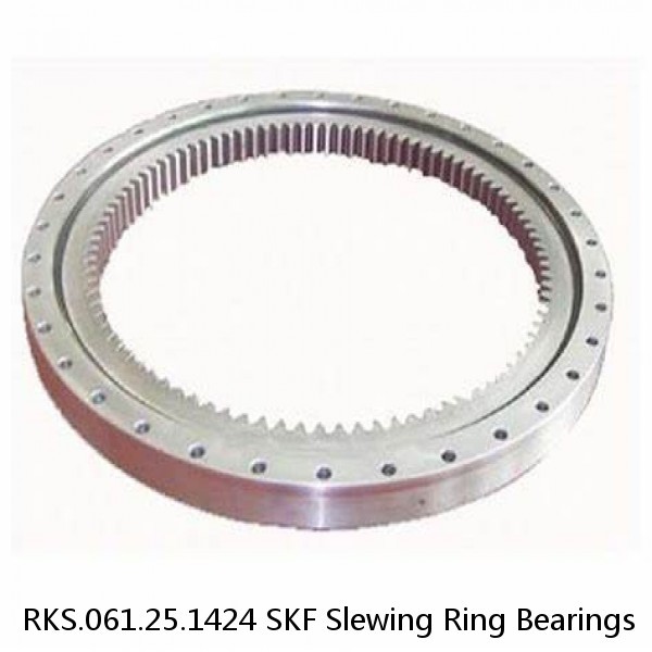 RKS.061.25.1424 SKF Slewing Ring Bearings #1 small image