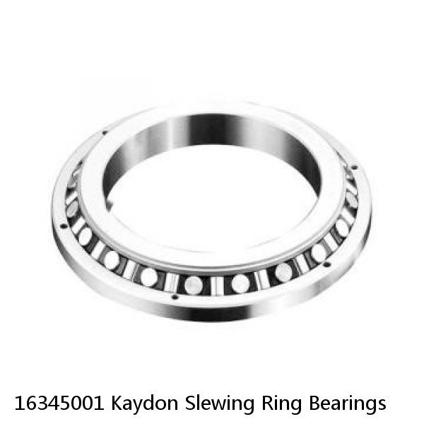 16345001 Kaydon Slewing Ring Bearings #1 small image