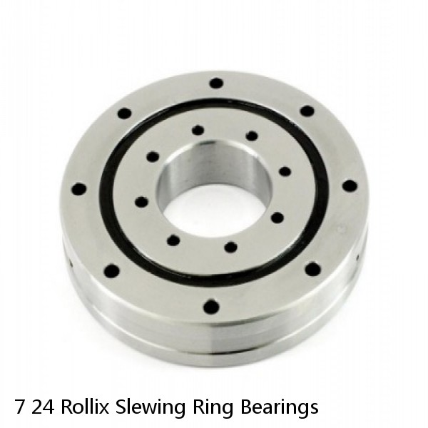 7 24 Rollix Slewing Ring Bearings #1 small image