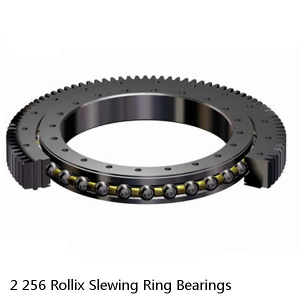 2 256 Rollix Slewing Ring Bearings #1 small image