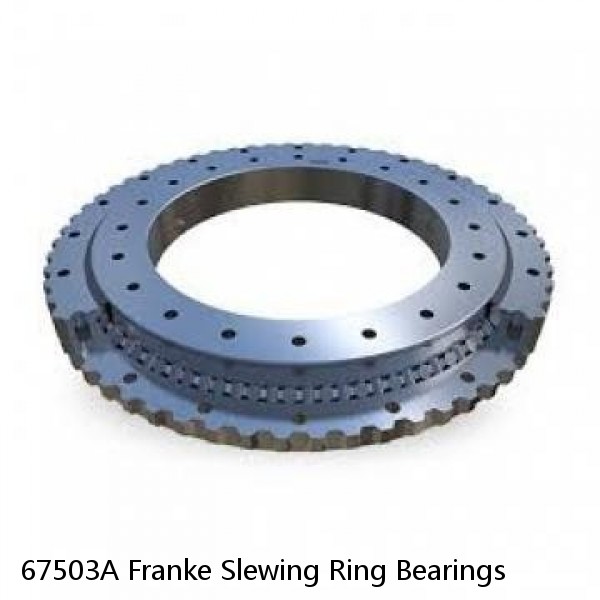 67503A Franke Slewing Ring Bearings