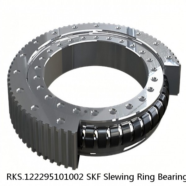 RKS.122295101002 SKF Slewing Ring Bearings #1 small image