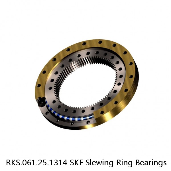 RKS.061.25.1314 SKF Slewing Ring Bearings