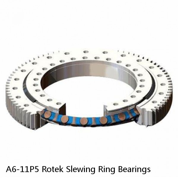 A6-11P5 Rotek Slewing Ring Bearings #1 small image