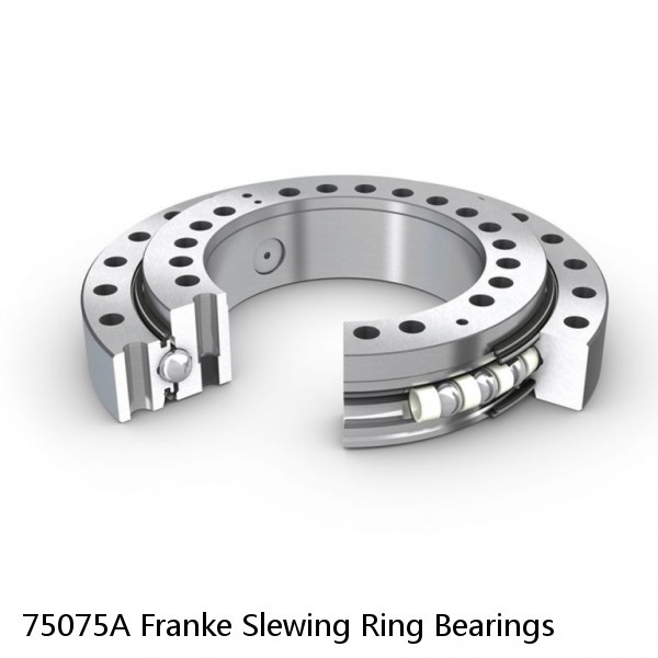 75075A Franke Slewing Ring Bearings #1 image