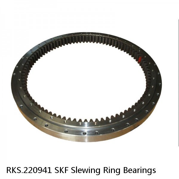 RKS.220941 SKF Slewing Ring Bearings #1 image