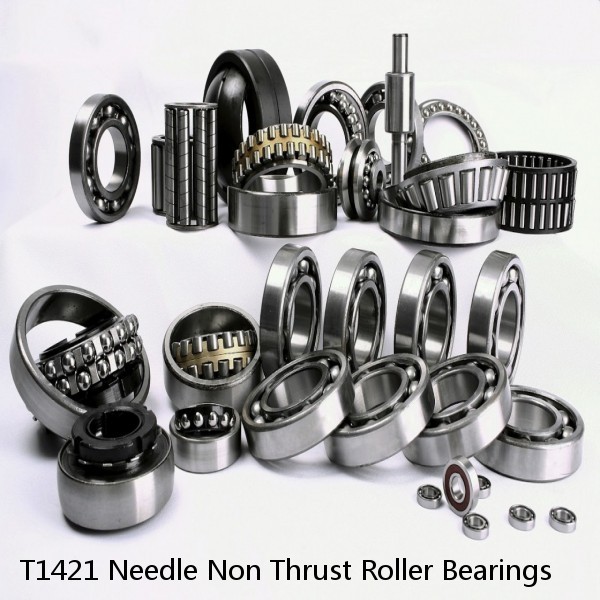 T1421 Needle Non Thrust Roller Bearings #1 image