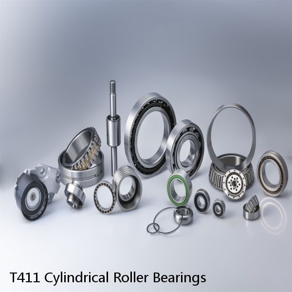 T411 Cylindrical Roller Bearings #1 image