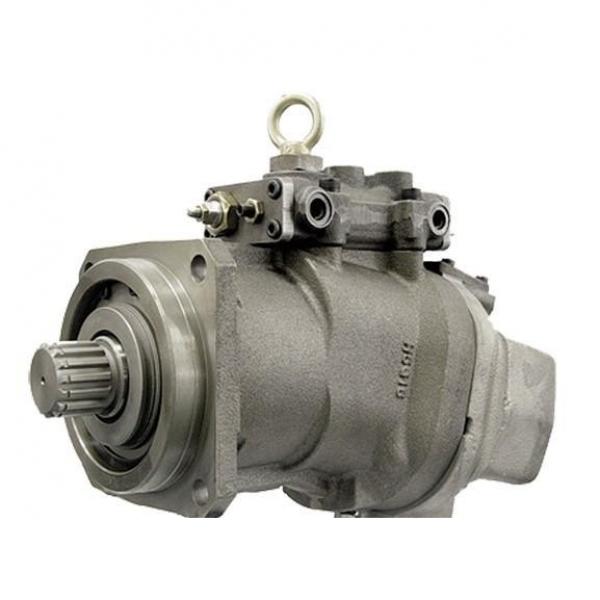 Rexroth A10vg Hydraulic Piston Pump Spare Parts (A10VG28, A10VG45, A10VG71) #1 image