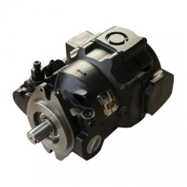 Commercial/Parker P30 /31 /50 /51 /75 /76 Gear pump #1 image