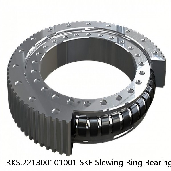 RKS.221300101001 SKF Slewing Ring Bearings #1 image