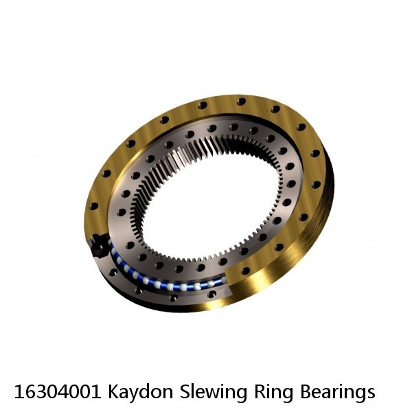 16304001 Kaydon Slewing Ring Bearings #1 image