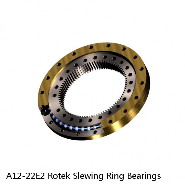 A12-22E2 Rotek Slewing Ring Bearings #1 image