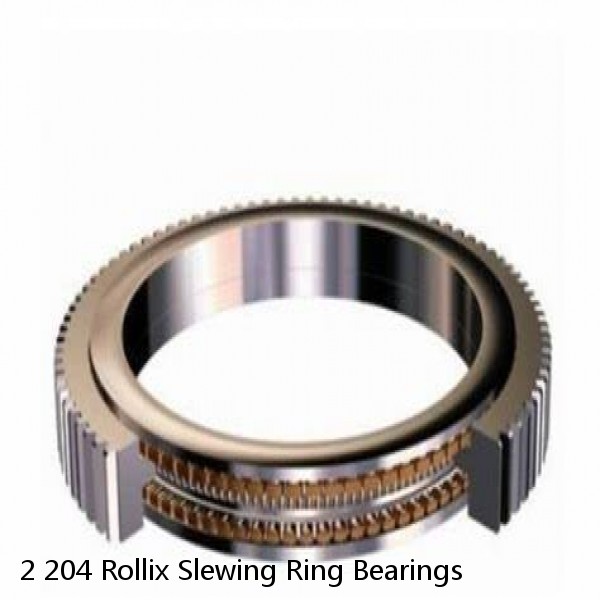 2 204 Rollix Slewing Ring Bearings #1 image