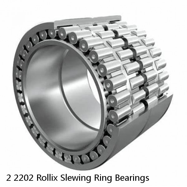 2 2202 Rollix Slewing Ring Bearings #1 image