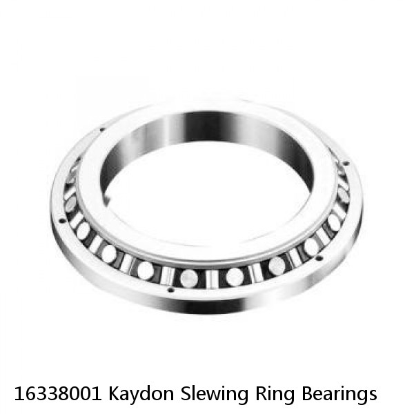 16338001 Kaydon Slewing Ring Bearings #1 image