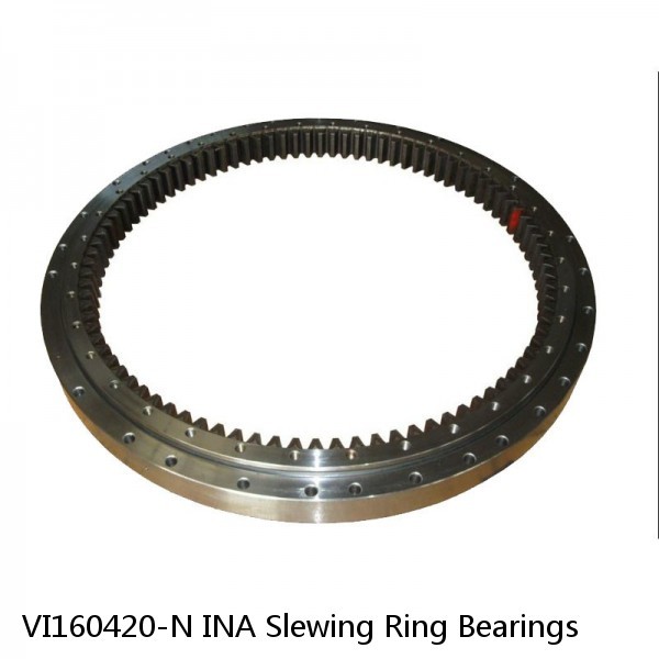 VI160420-N INA Slewing Ring Bearings #1 image