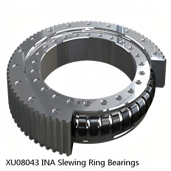 XU08043 INA Slewing Ring Bearings #1 image