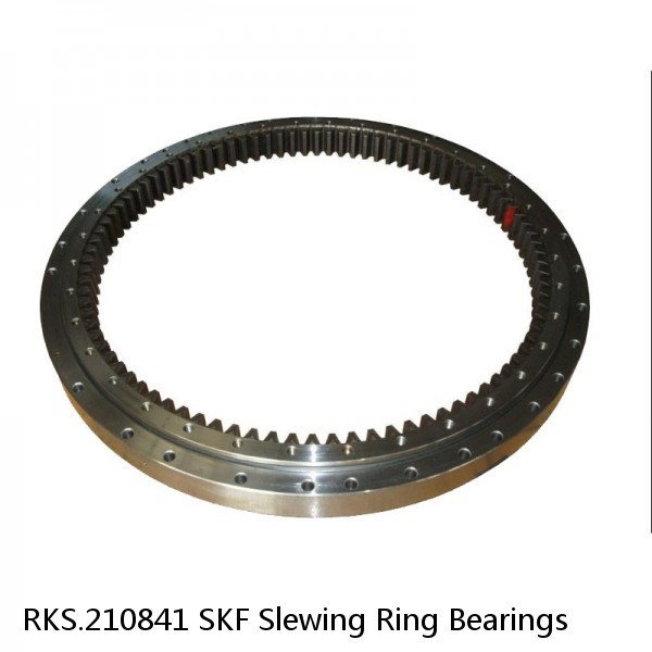 RKS.210841 SKF Slewing Ring Bearings #1 image