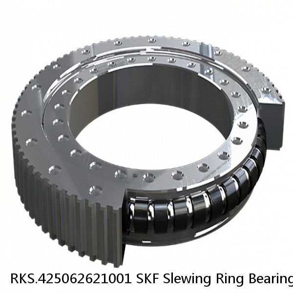 RKS.425062621001 SKF Slewing Ring Bearings #1 image