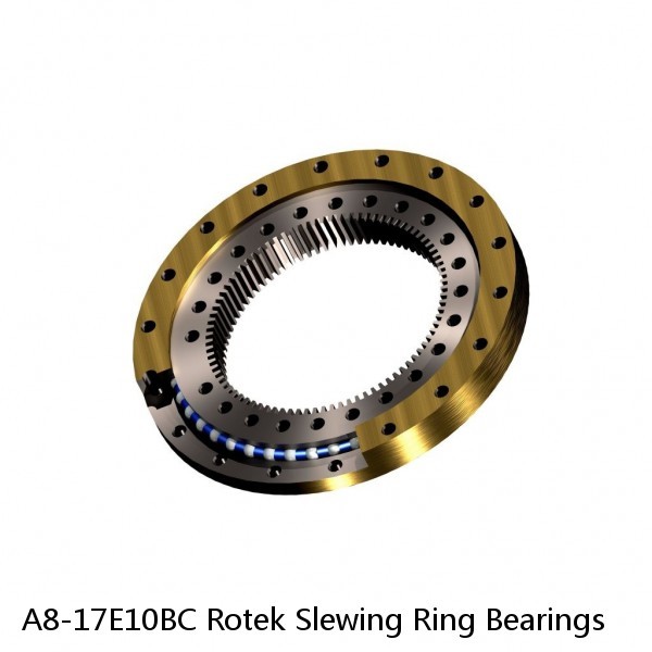 A8-17E10BC Rotek Slewing Ring Bearings #1 image