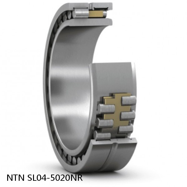 SL04-5020NR NTN Cylindrical Roller Bearing #1 image