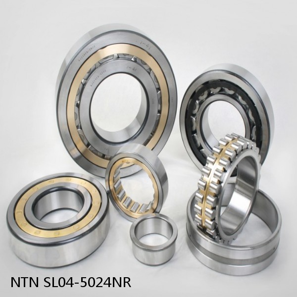 SL04-5024NR NTN Cylindrical Roller Bearing #1 image