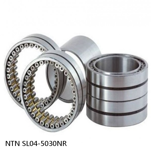 SL04-5030NR NTN Cylindrical Roller Bearing #1 image