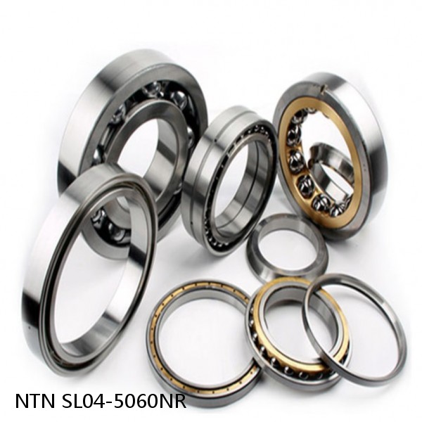 SL04-5060NR NTN Cylindrical Roller Bearing #1 image