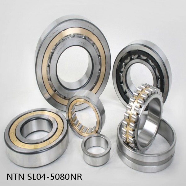 SL04-5080NR NTN Cylindrical Roller Bearing #1 image